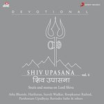 Shiv Upasana, Vol. 4 - Jaideep Sahni Song Download